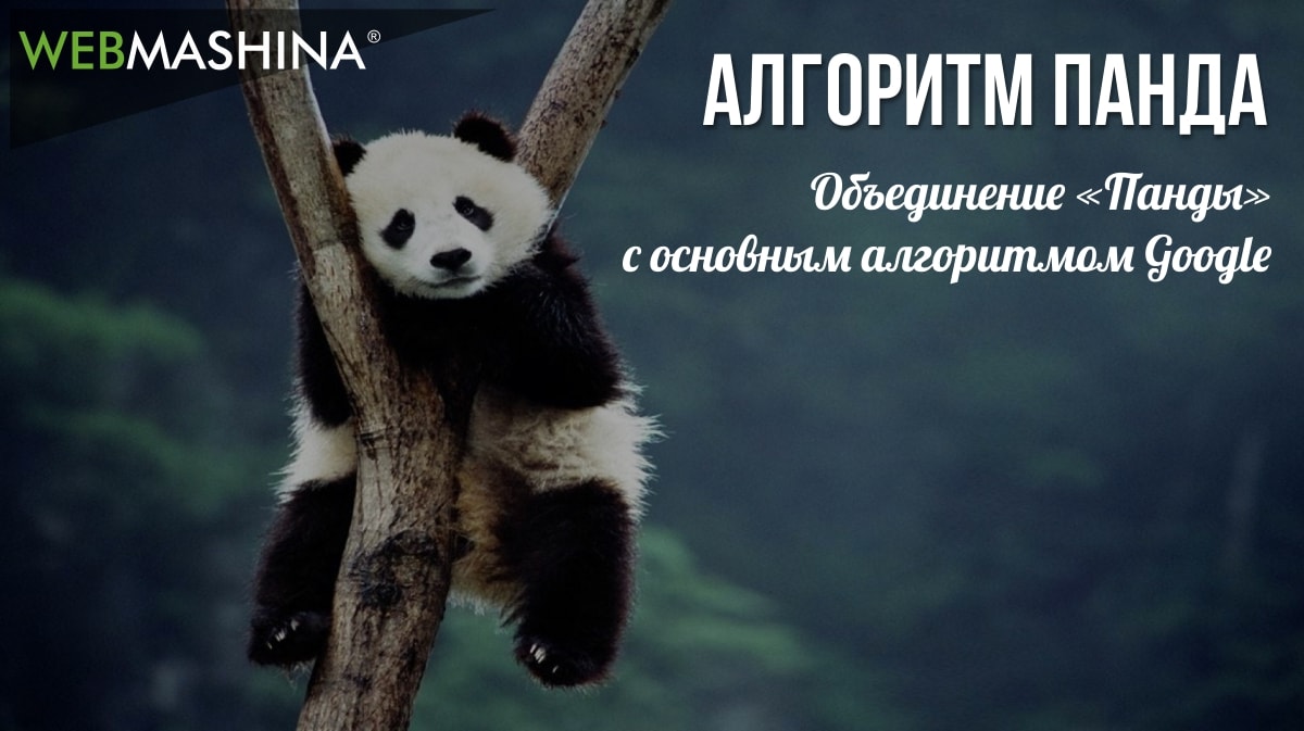 объединение «Панды» с основным алгоритмом Google
