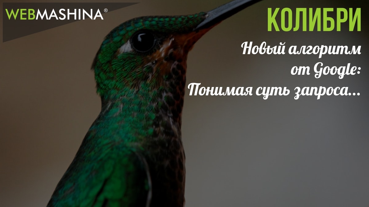 Колибри - алгоритм поисковой системы google