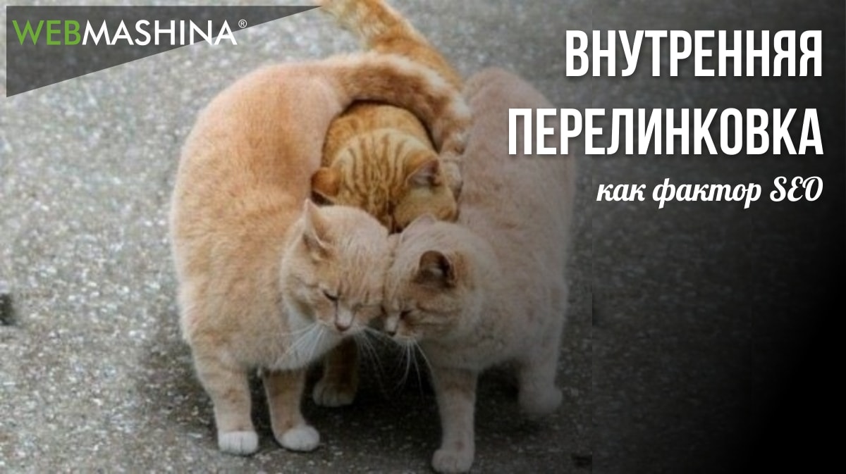 Внутренняя перелинковка — как фактор SEO