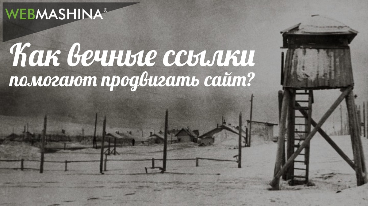 Продвижение вечными ссылками: проще и эффективнее